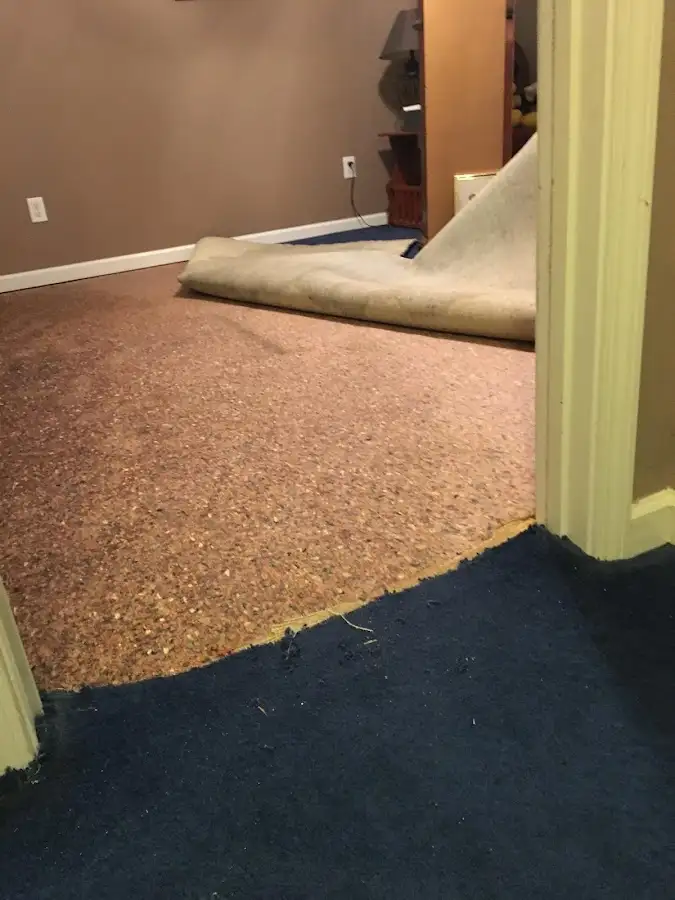 Carpet pad removal revealing water damage during Water Mitigation Services in Randolph