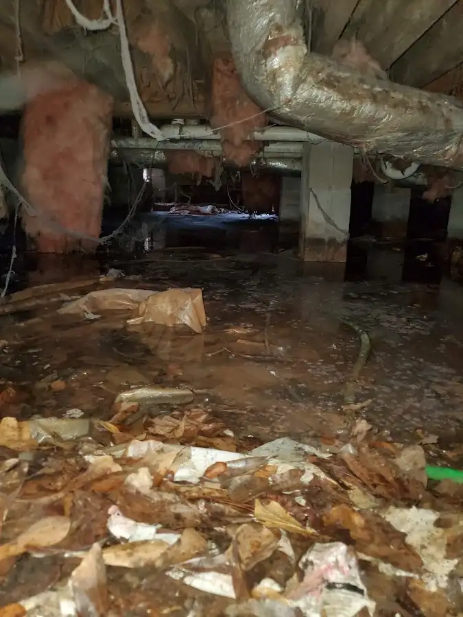 Crawl space flood assessment for Leak Detection & Repair in Randolph