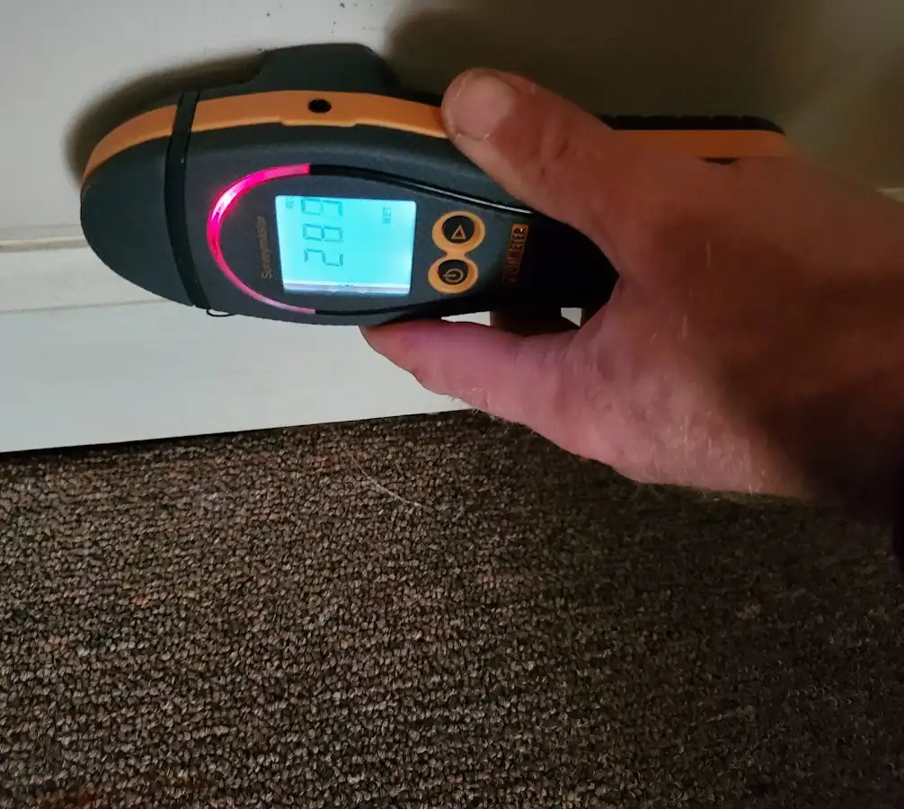 Moisture detection at baseboard during Sewage Cleanup & Sanitation in Randolph